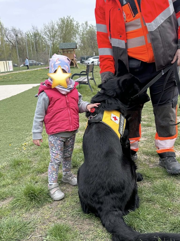 Kisgyermek megsimogatja a Vöröskereszt fekete keresőkutyáját, amely mentőmellényt visel
