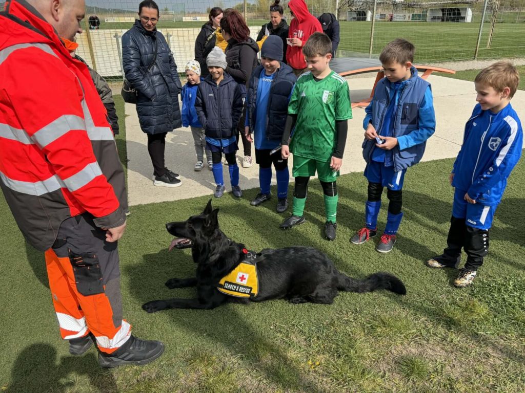 Bozsik Fesztivál és Bozsik Torna – 8