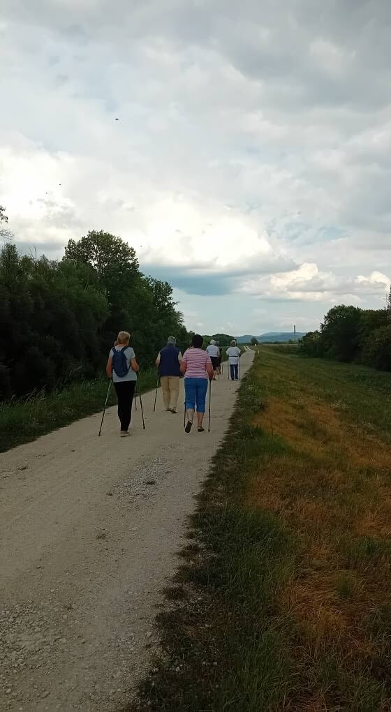 Energikus Fitt 50+ – Almásfüzitő