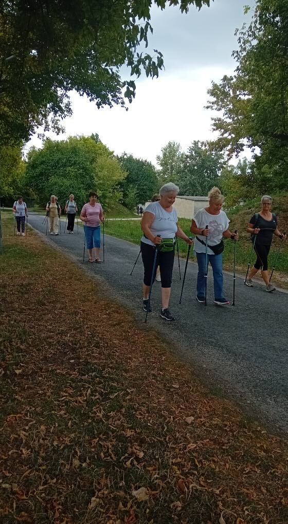 Energikus Fitt 50+ – Almásfüzitő – 10
