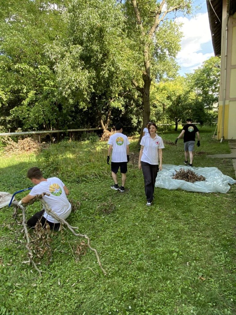 Önkéntesség – Utolsó Napi Szentek Jézus Krisztus Egyháza – 2